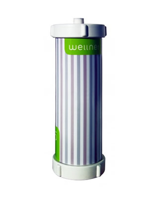 W25 RK Max hálózati víztisztító (25 000 l)